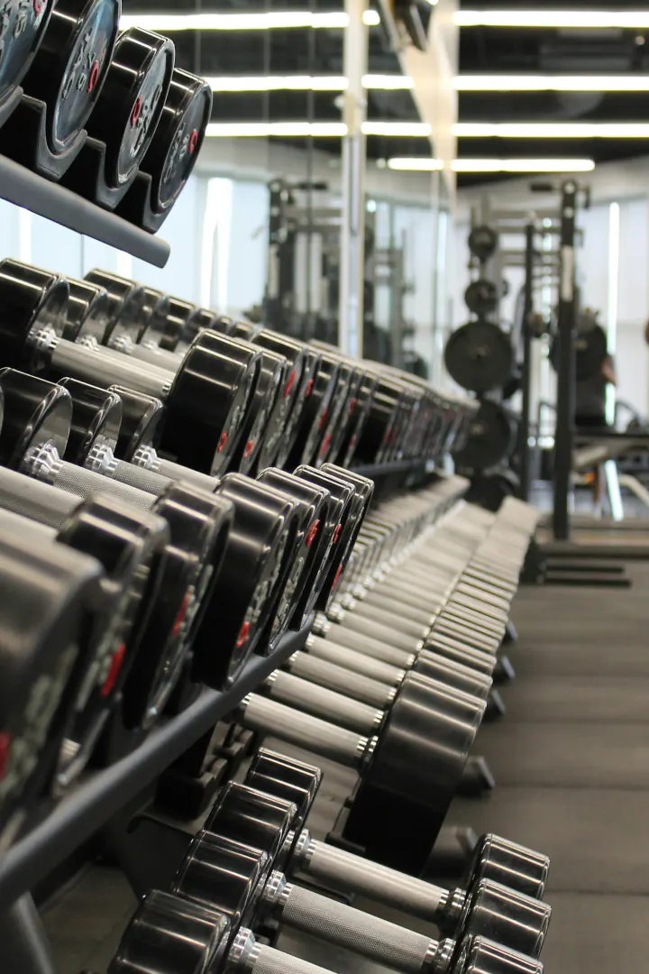 Health & Wellness