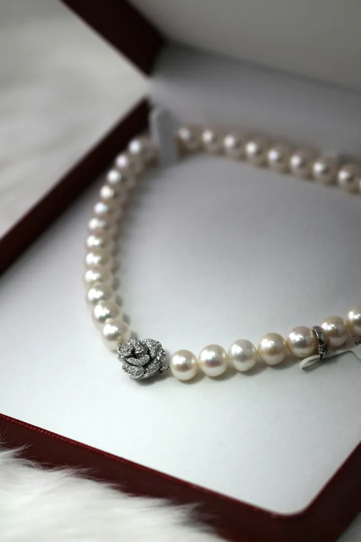 Jewelry & Watches