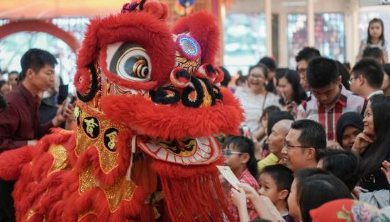 Celebrate Splendid Love of Lunar New Year 2019 